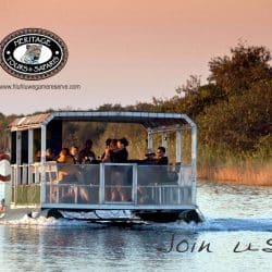 Boat Safari St Lucia 2 Boat Safari St Lucia