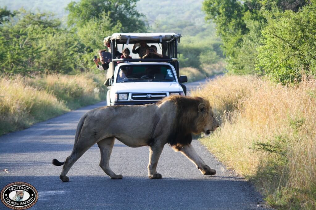 Durban Day Tour and Safaris to Hluhluwe Umfolozi Game Resrve