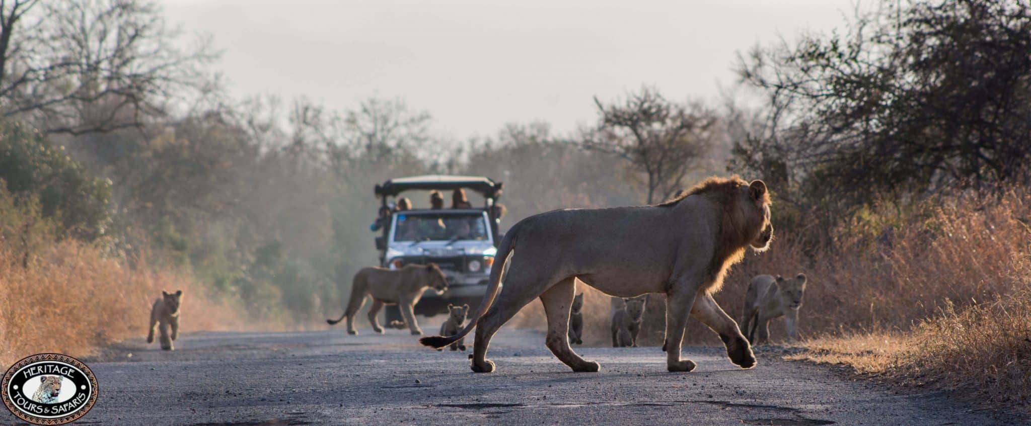 Hluhluwe Umfolozi Park Richards Bay Activities