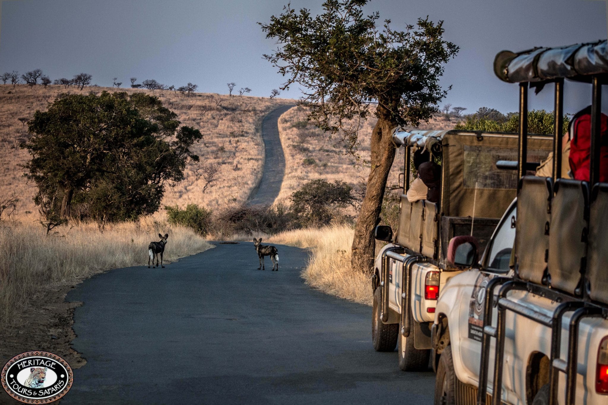 9 Day Cape Town Zululand Safari Package Hluhluwe Game Reserve