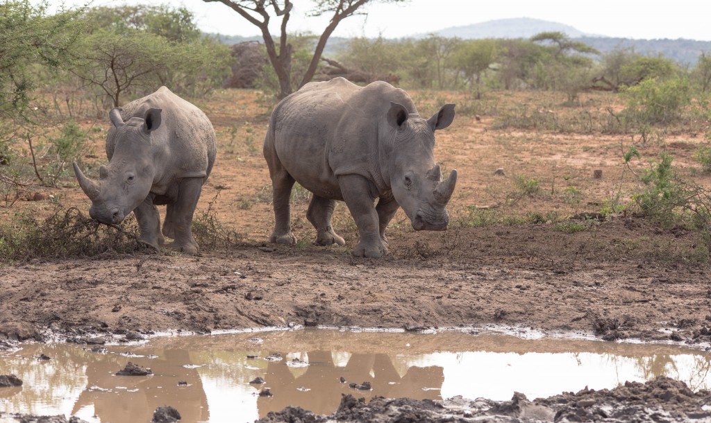 a complete list of distances