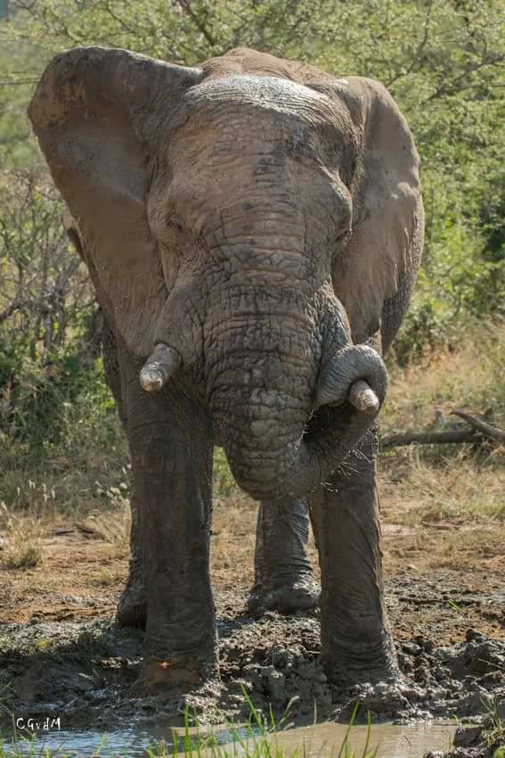 Highlight of KwaZulu Natal 4 clients capture some incredible pictures