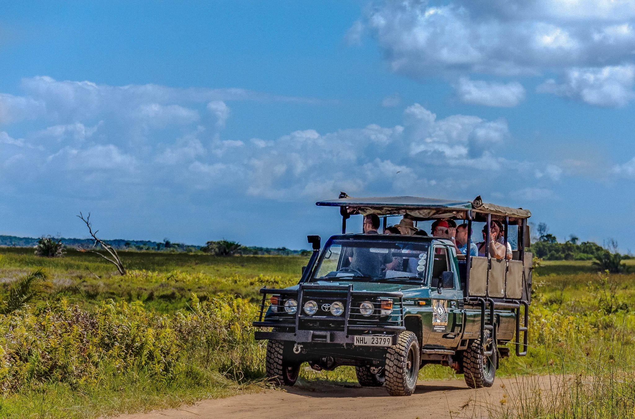 Day Safari South Africa, Options Overview and Top Tips for Day Safaris