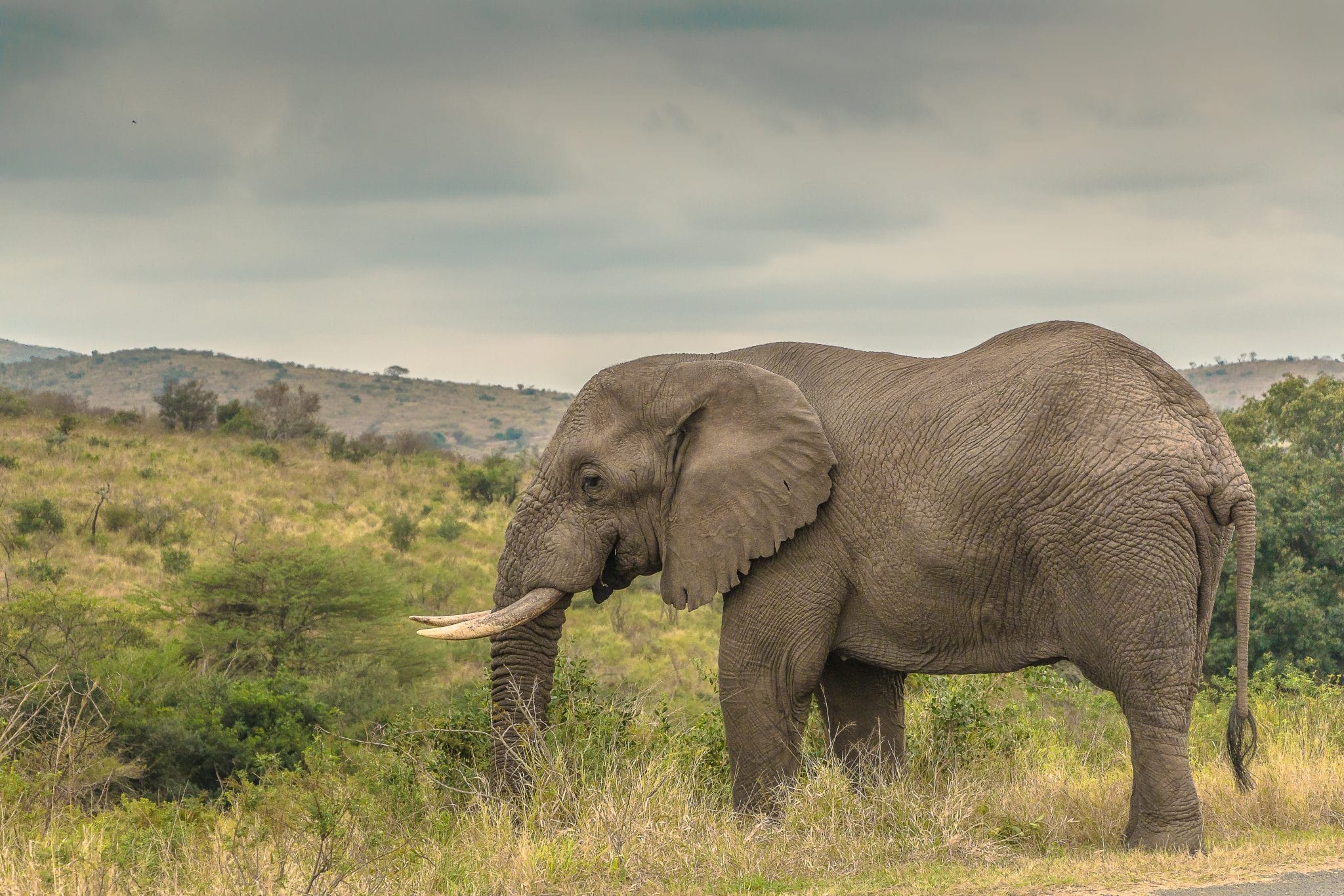 Highlight of KwaZulu Natal 6 Highlight of KwaZulu Natal