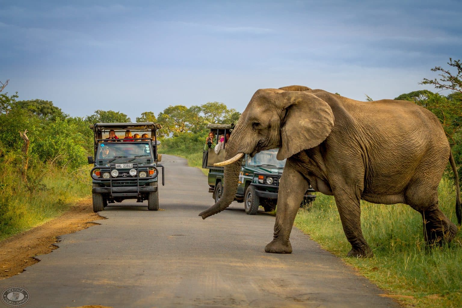 3 night safari package