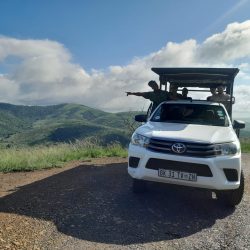 hluhluwe big 5 half day safari clients