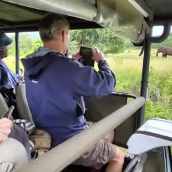 elephant sighting on half day safari into the hluhluwe imfolozi game reserve