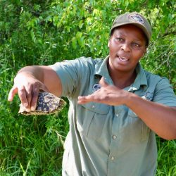 phindy game ranger on a hluhluwe imfolozi park big 5 safari