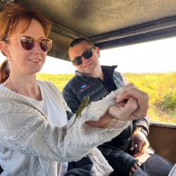 hluhluwe imfolozi park safari for six people maximum our elite big 5 safari