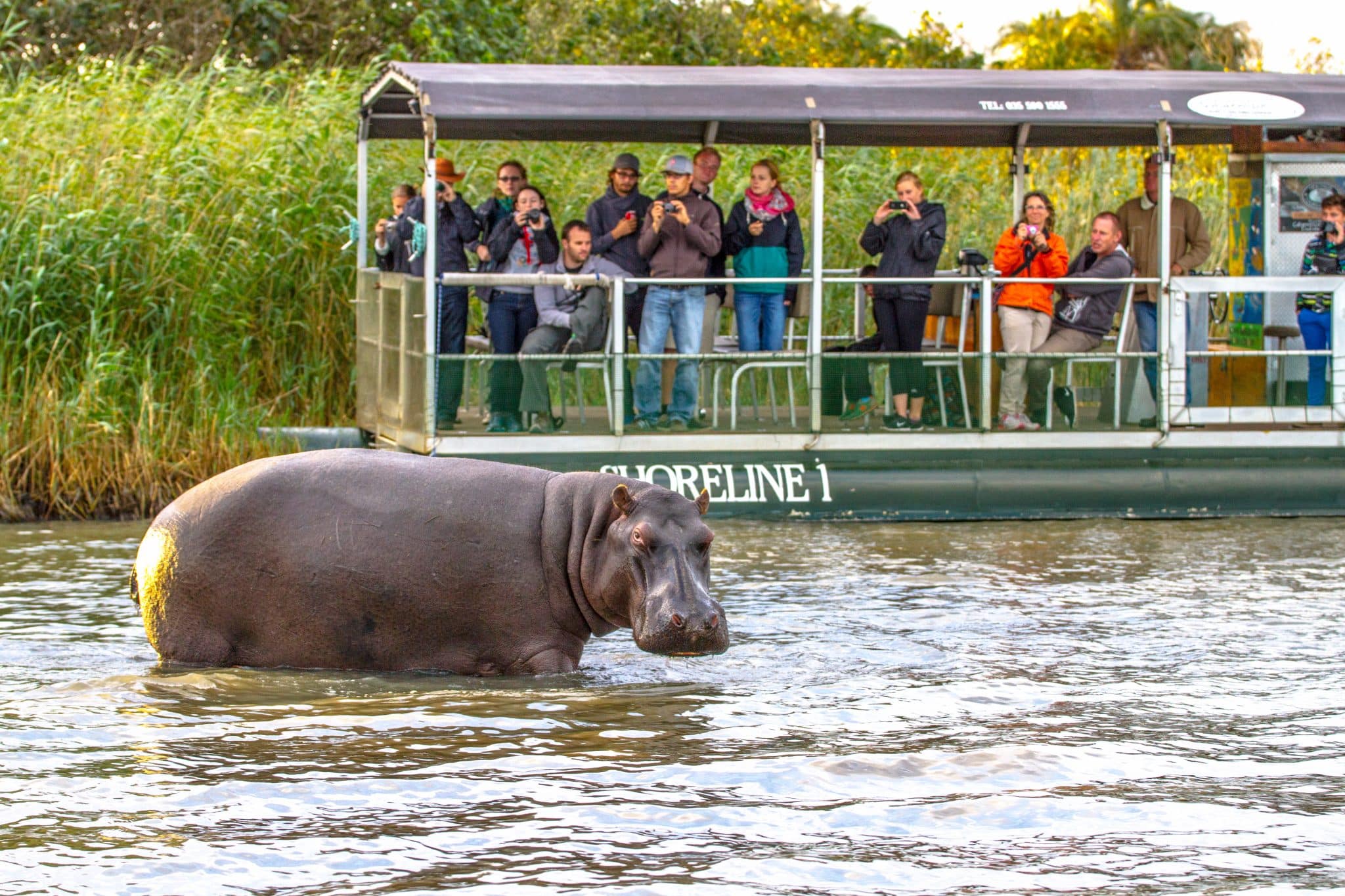 From Durban to the Wild Hluhluwe and St Lucia Weekend Safari Getaways