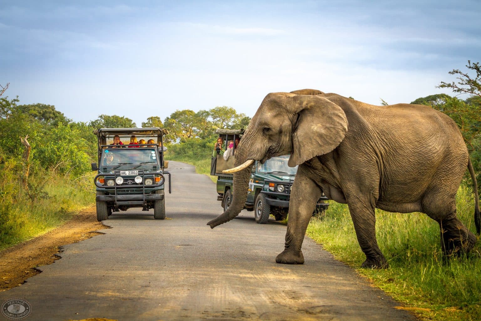 3 Night Safari Package What to Expect