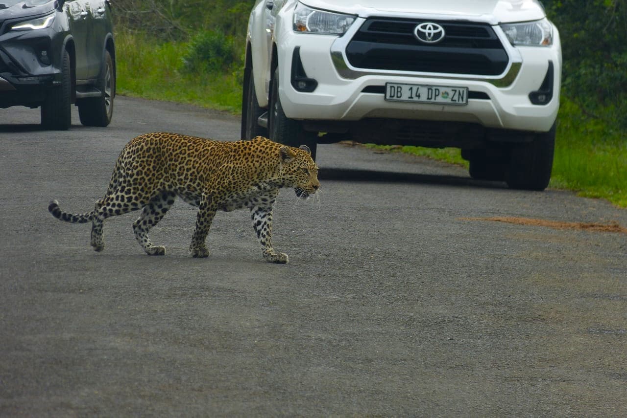 Why is Hluhluwe Imfolozi Park so famous