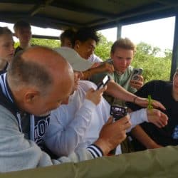 up close encounter with a chameleon clients first time