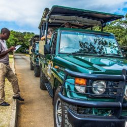 entrance-gate-to-isimangaliso