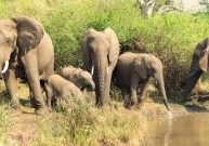 Weekend Getaway in the Hluhluwe Imfolozi Park